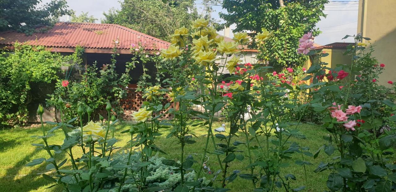 Două Mai Villa Mugur מראה חיצוני תמונה