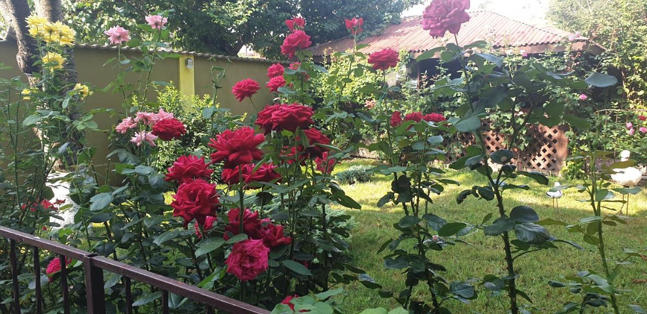 Două Mai Villa Mugur מראה חיצוני תמונה
